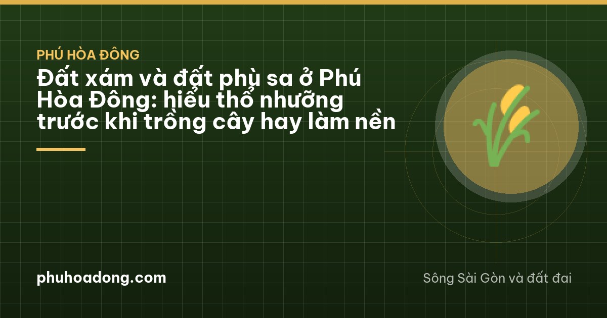 Đất xám và đất phù sa ở Phú Hòa Đông: hiểu thổ nhưỡng trước khi trồng cây hay làm nền
